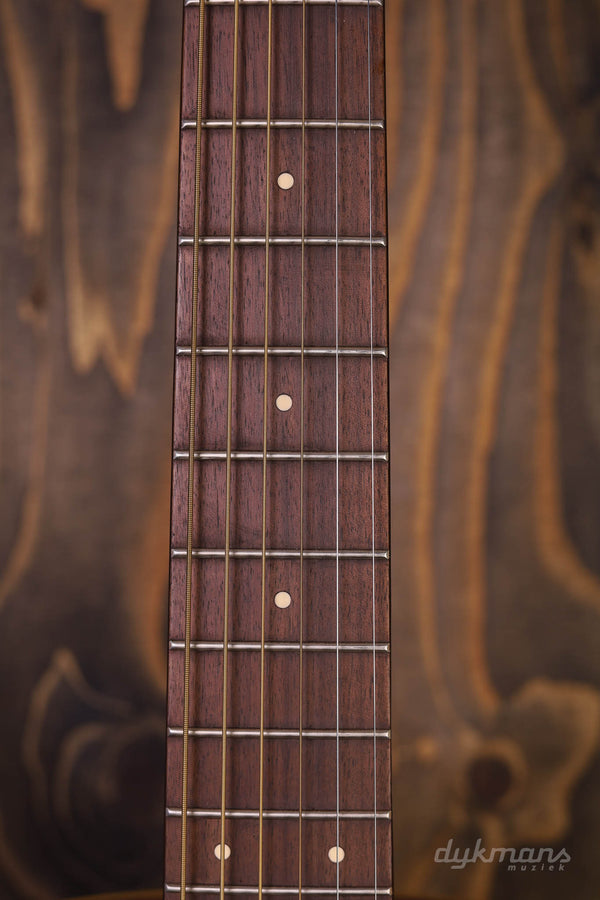 Fender Ltd. Malibu Player, All Mahogany