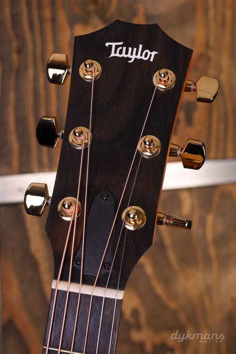 Taylor 224ce-K DLX