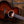 Taylor 224ce-K DLX