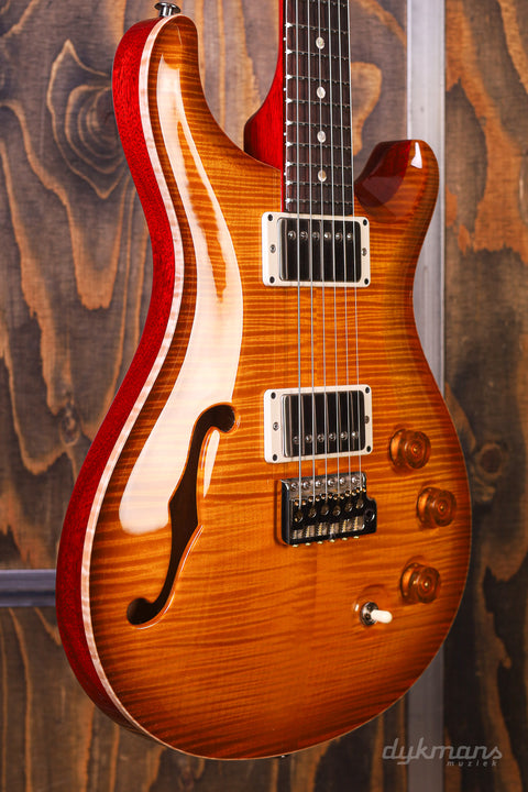 PRS Ltd Edition DGT Semi Hollow