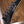 Epiphone Dave Mustaine Flying V Custom