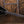 Epiphone Dave Mustaine Flying V Custom