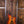 Fender Acoustasonic Standard Jazzmaster Honey Burst