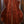 Taylor Gold Label 814e-SB