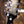 Epiphone Adam Jones Les Paul Custom Art Collection: Ernst Fuchs' 