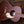 Gretsch Jim Dandy Concert Frontier Stain