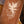 Blue Bell Santa Rosa Firebird Strap Whiskey Suede