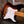 Fender Custom Shop 1956 Jimmy Vaughan Signature 30th Anniversary Stratocaster PRE-OWNED!