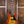 Eastman T-486 Gold Burst