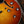 Eastman T-486 Gold Burst