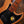Marcus Miller v5 Natural