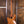 Marcus Miller v5 Natural