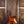 PRS Wood Library Modern Eagle V Copperhead Burst