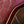 Fender Custom Shop Limited Edition dual pink P90 Relic Aged Pink Paisley Telecaster PRE-OWNED!