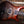 PRS Custom 24 Charcoal Tobacco Burst