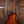 Taylor 314ce Limited Koa/Sitka Spruce