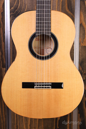 Alhambra 6 Olive Exotic Wood/ Sparren