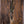 PRS 40th Anniversary Dragon McCarty Burnt Chestnut #2