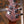 Music Man Luke 4 HH Blue Dream