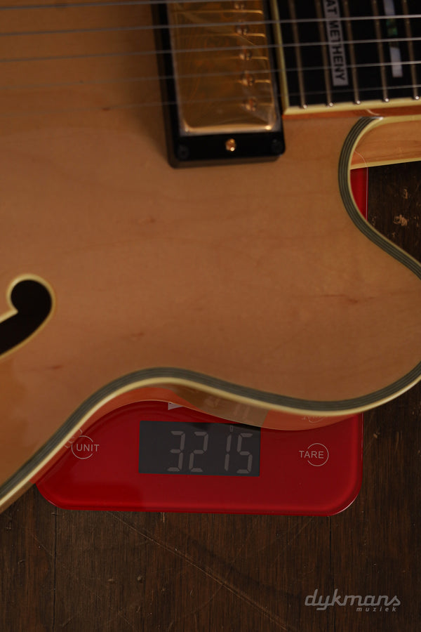 Ibanez PM200 Pat Metheny