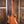 PRS Wood Library McCarty 594 Yellow Tiger