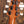 PRS Wood Library McCarty 594 Yellow Tiger