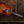 Taylor Gold Label 814th Koa PRE-ORDER
