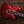PRS CE 24-08 Swamp Ash Limited Red Apple Metallic