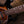 Music Man Stingray 5 Burnt Ends