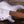 Music Man Stingray 5 Snowy Night