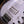 Music Man Stingray 5 Snowy Night
