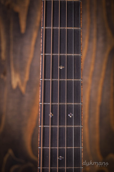 Martin Custom Shop D 14-Fret Cocobolo