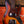 Fender Custom Shop 1961 Jazz Bass Heavy Relic 3-Color Sunburst