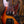 Fender Custom Shop 1961 Jazz Bass Heavy Relic 3-Color Sunburst