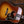 Gibson Hummingbird Koa Carpathian Spruce