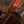 Furch Red Deluxe GC-SR
