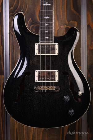 PRS SE Hollowbody Standard Dog Hair