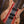 Mayones Regius 6 Spalted Flame Maple