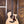 Taylor 814ce LTD Adirondack