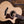 Taylor 814ce LTD Adirondack