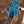 PRS SE Custom 24 Semi-Hollow Piezo Lake Blue