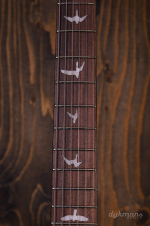 PRS SE Custom 24 Black Gold 2026