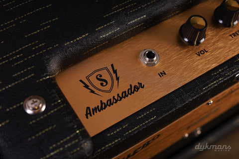 Supro Ambassador Custom Combo