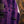Mayones Duvell Elite 6 Purple