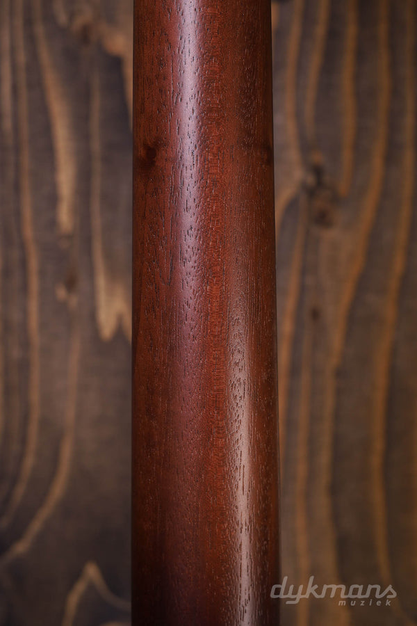 Taylor American Dream AD22e SEB