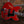 Eastman T64/v with Bigbsy Antique Red