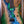 Mayones Regius 6 Buckeye Burl Master Grade Custom Colour