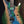 Mayones Regius 6 Buckeye Burl Master Grade Custom Colour