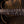 Ibanez J. Custom RG8870BRE PRE ORDER