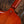 Eastman ER4-PB El Rey Otto D'Ambrosio Signature Pomona Burst